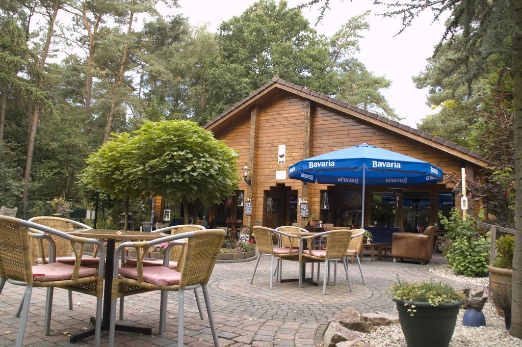 Chalet Dennenvelt Vila Doornspijk Exterior foto